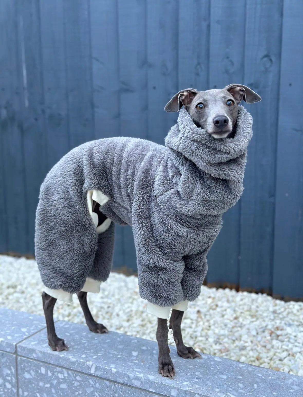 Grey Turtleneck Fleece Italian Greyhound Jumpsuit