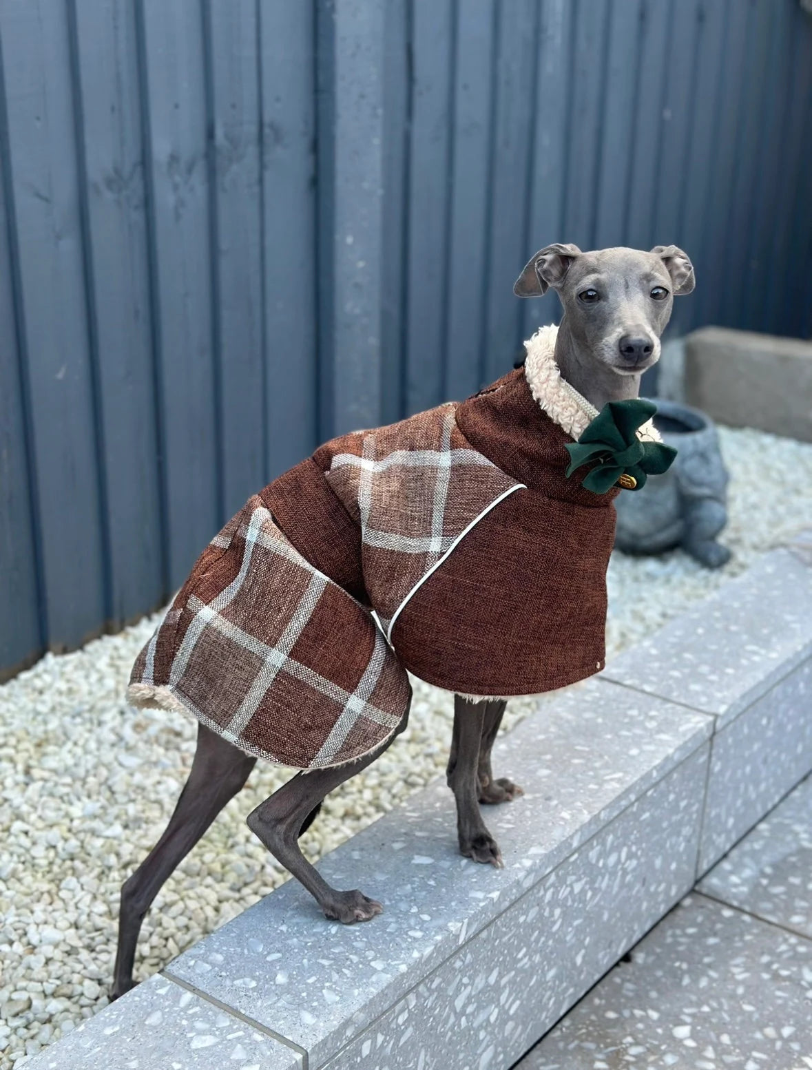 Brown Tweed Fleece Coat Italian Greyhound Jacket