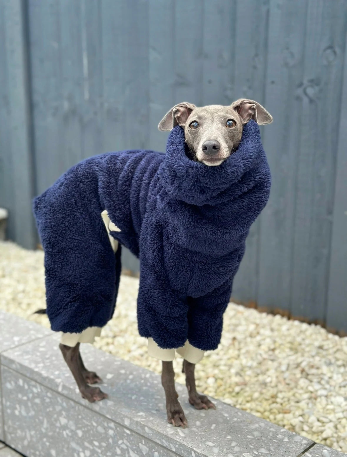 Royal Blue Turtleneck Fleece Italian Greyhound Jumpsuit