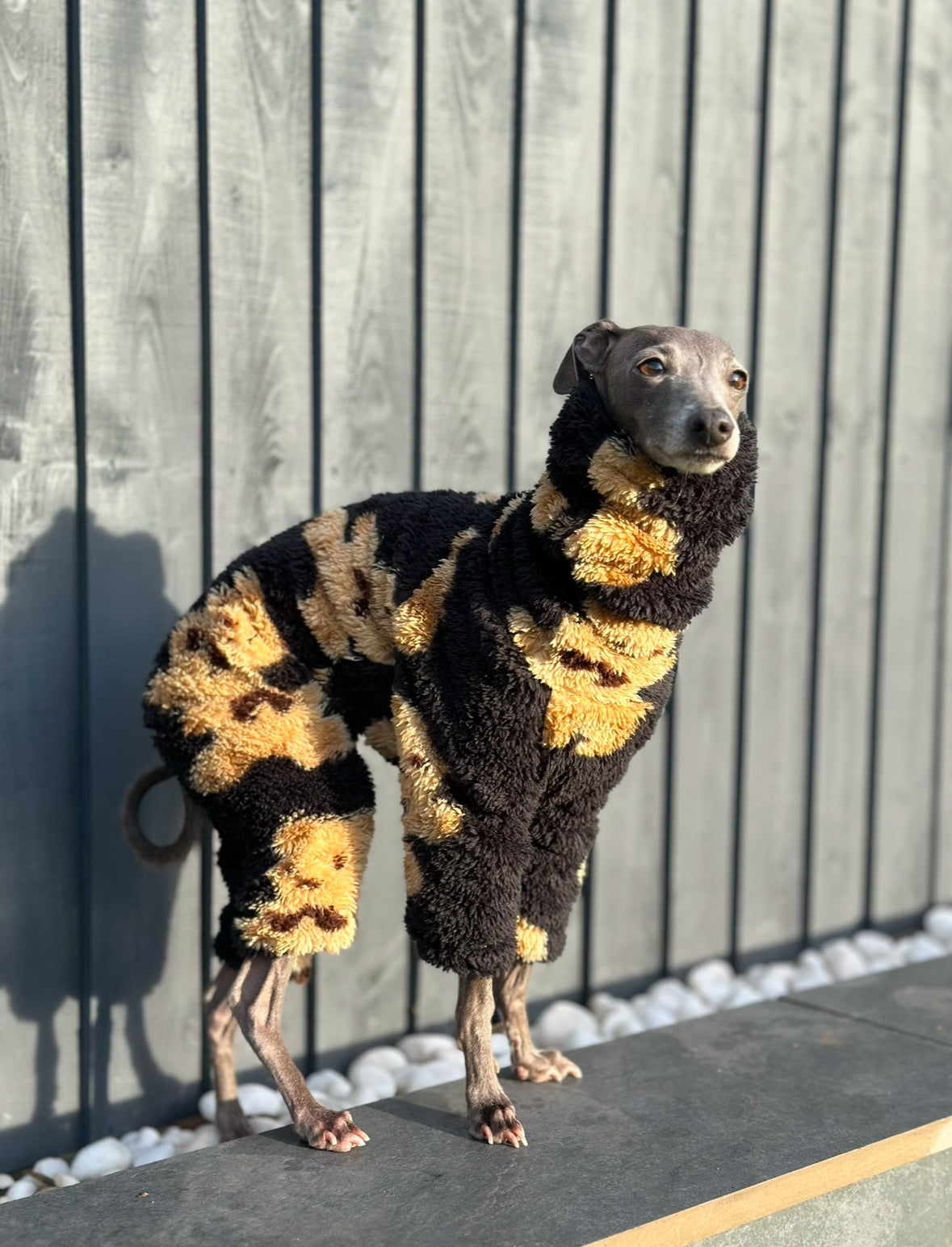 Teddy Jumpsuit | Italian Greyhound jumpsuit