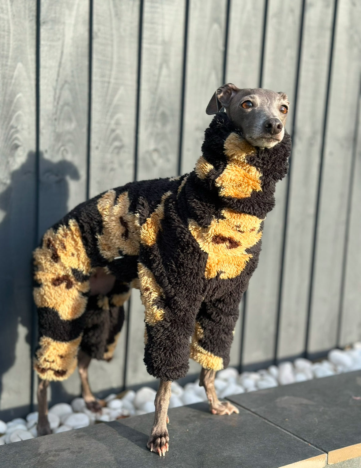 Teddy Jumpsuit | Italian Greyhound jumpsuit