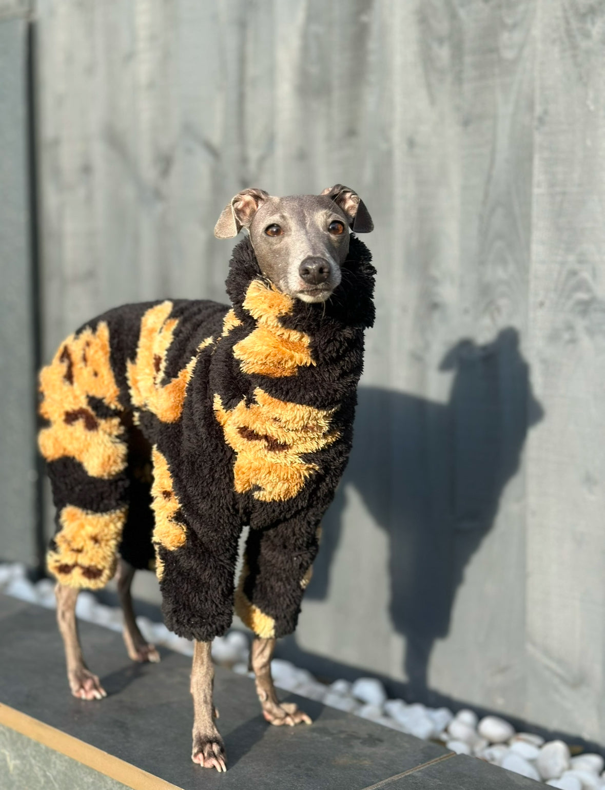 Teddy Jumpsuit | Italian Greyhound jumpsuit