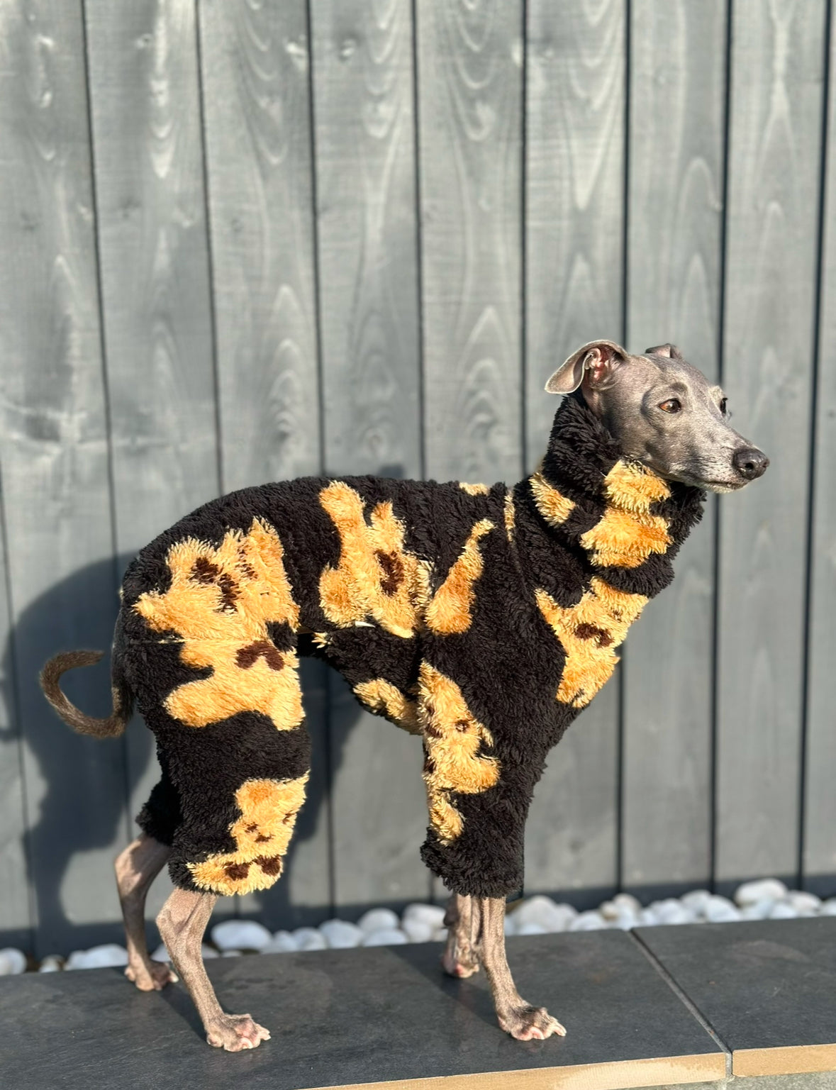 Teddy Jumpsuit | Italian Greyhound jumpsuit