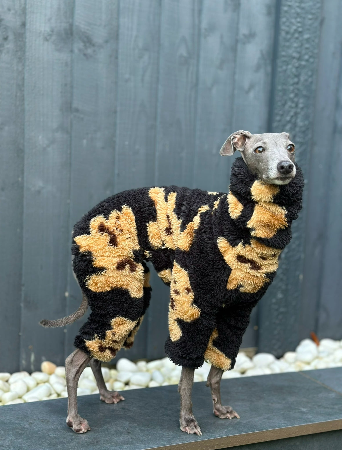 Teddy Jumpsuit | Italian Greyhound jumpsuit