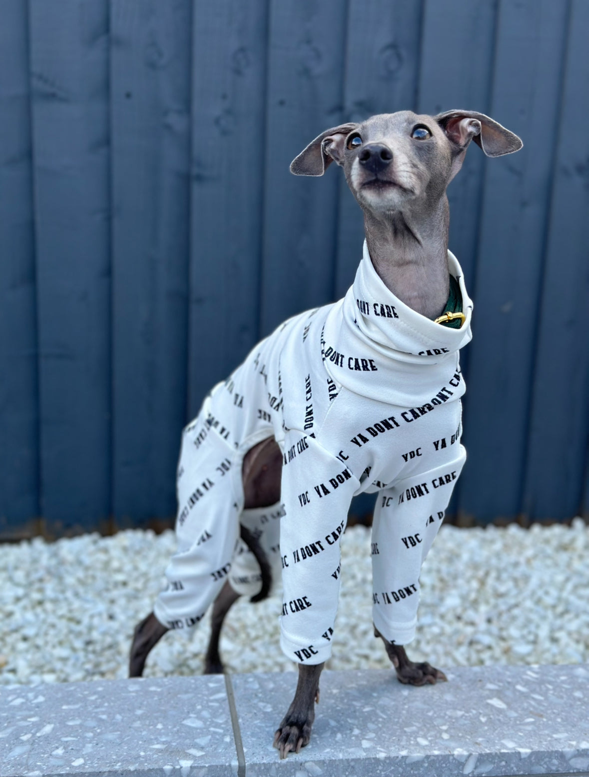 Posh Pajamas White | Italian Greyhound Clothing