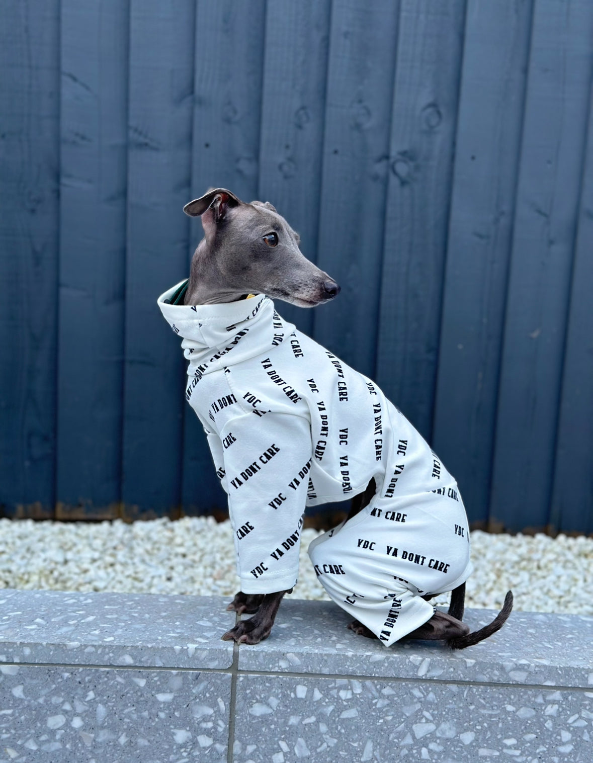 Posh Pajamas White | Italian Greyhound Clothing