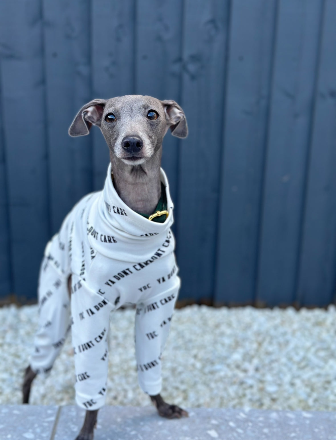 Posh Pajamas White | Italian Greyhound Clothing