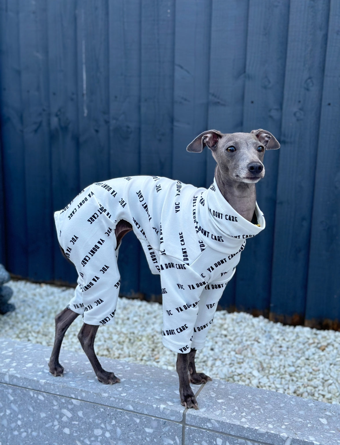 Posh Pajamas White Italian Greyhound Clothing