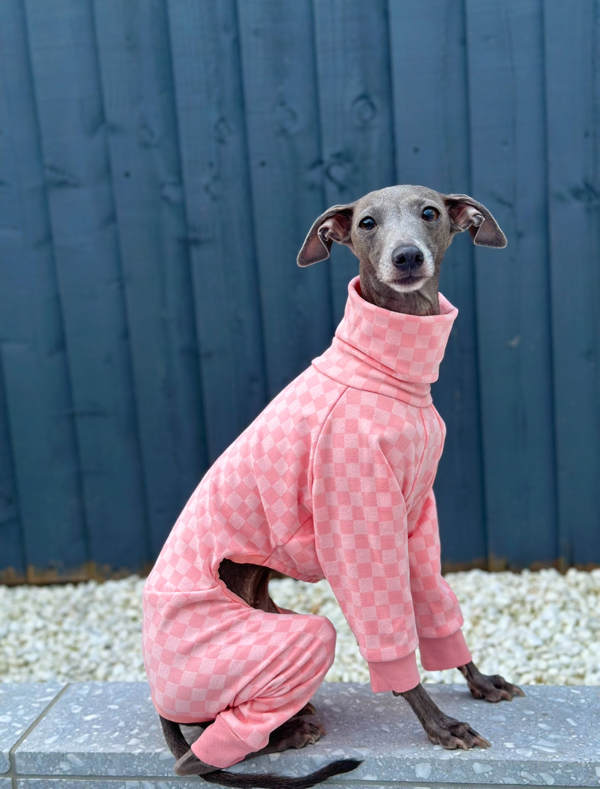 Posh Pajamas Peach | Italian Greyhound Clothing