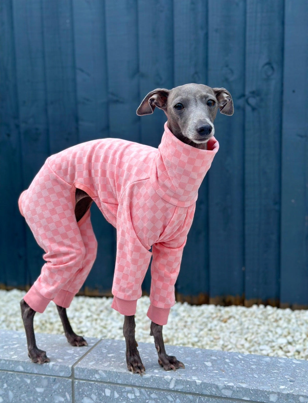 Posh Pajamas Peach | Italian Greyhound Clothing