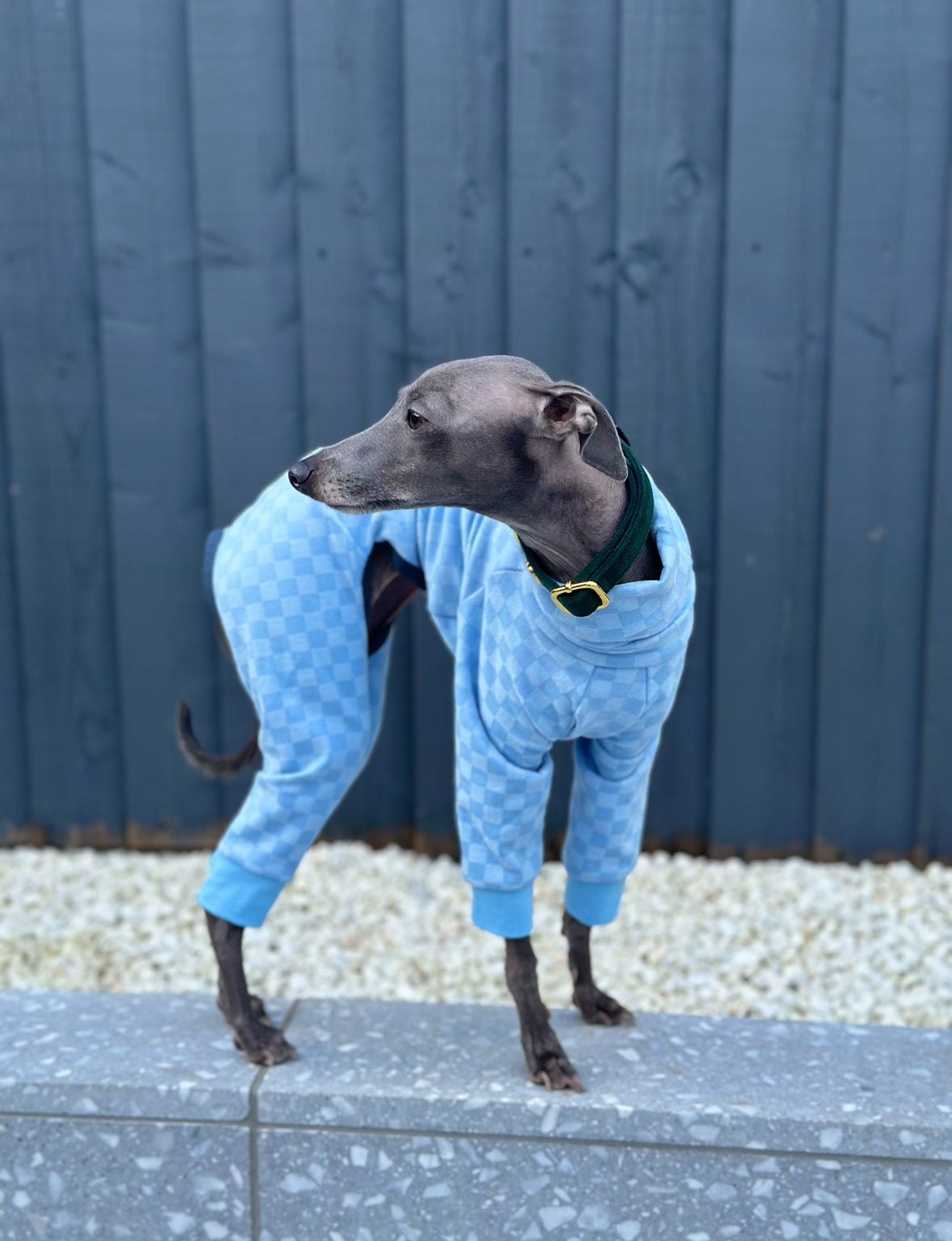 Posh Pajamas Blue | Italian Greyhound Clothing