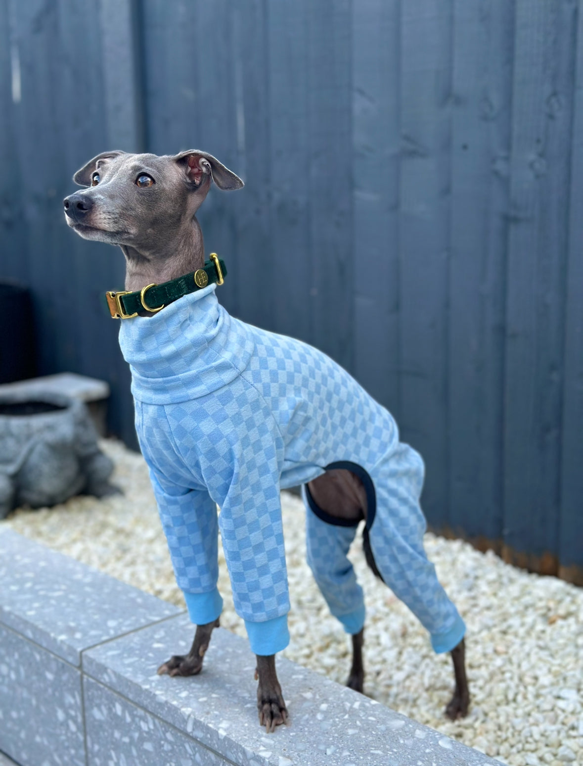 Posh Pajamas Blue | Italian Greyhound Clothing