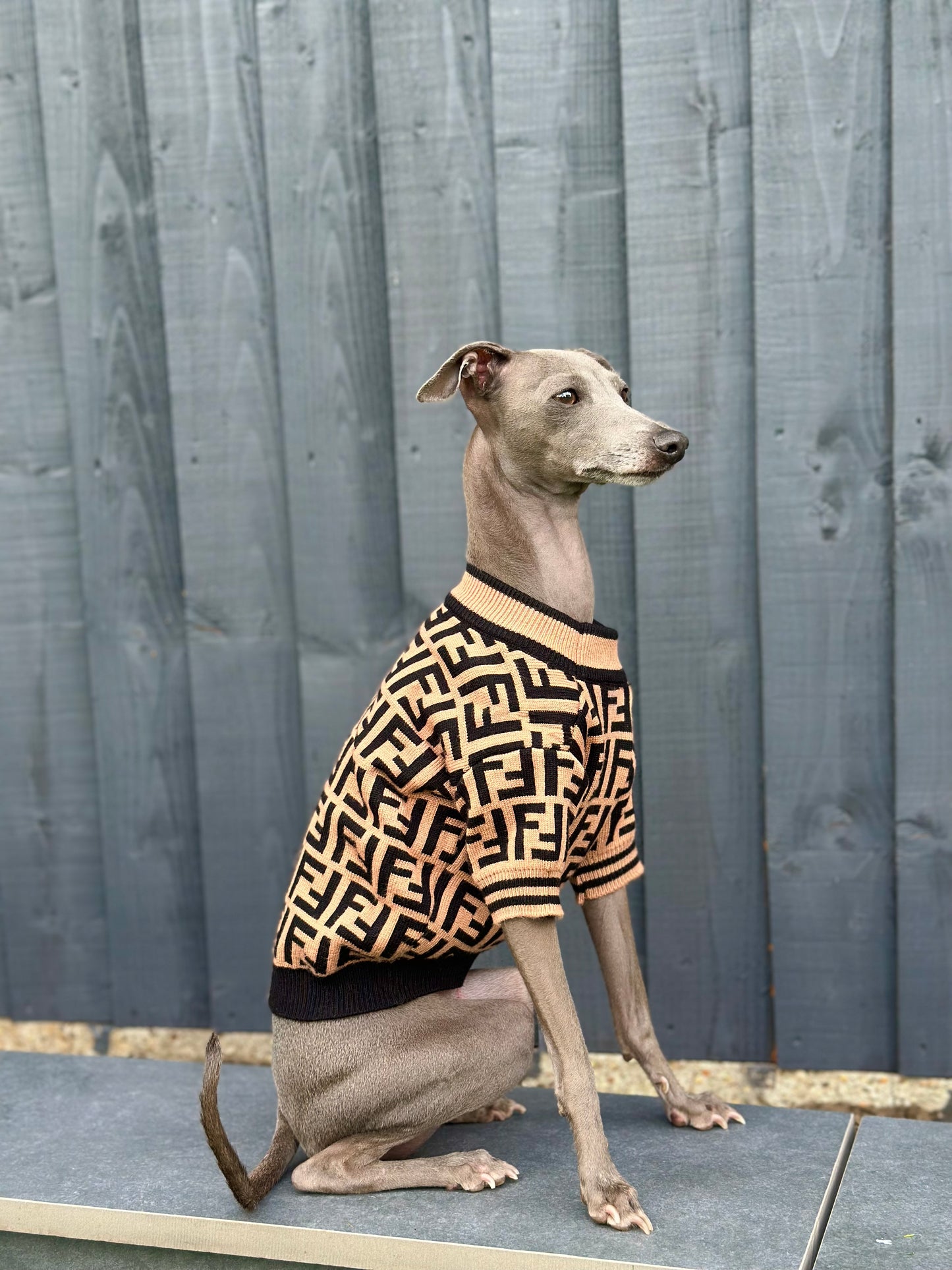 Haute Pup Jumper