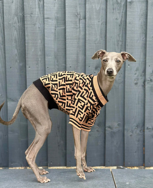 Haute Pup Jumper