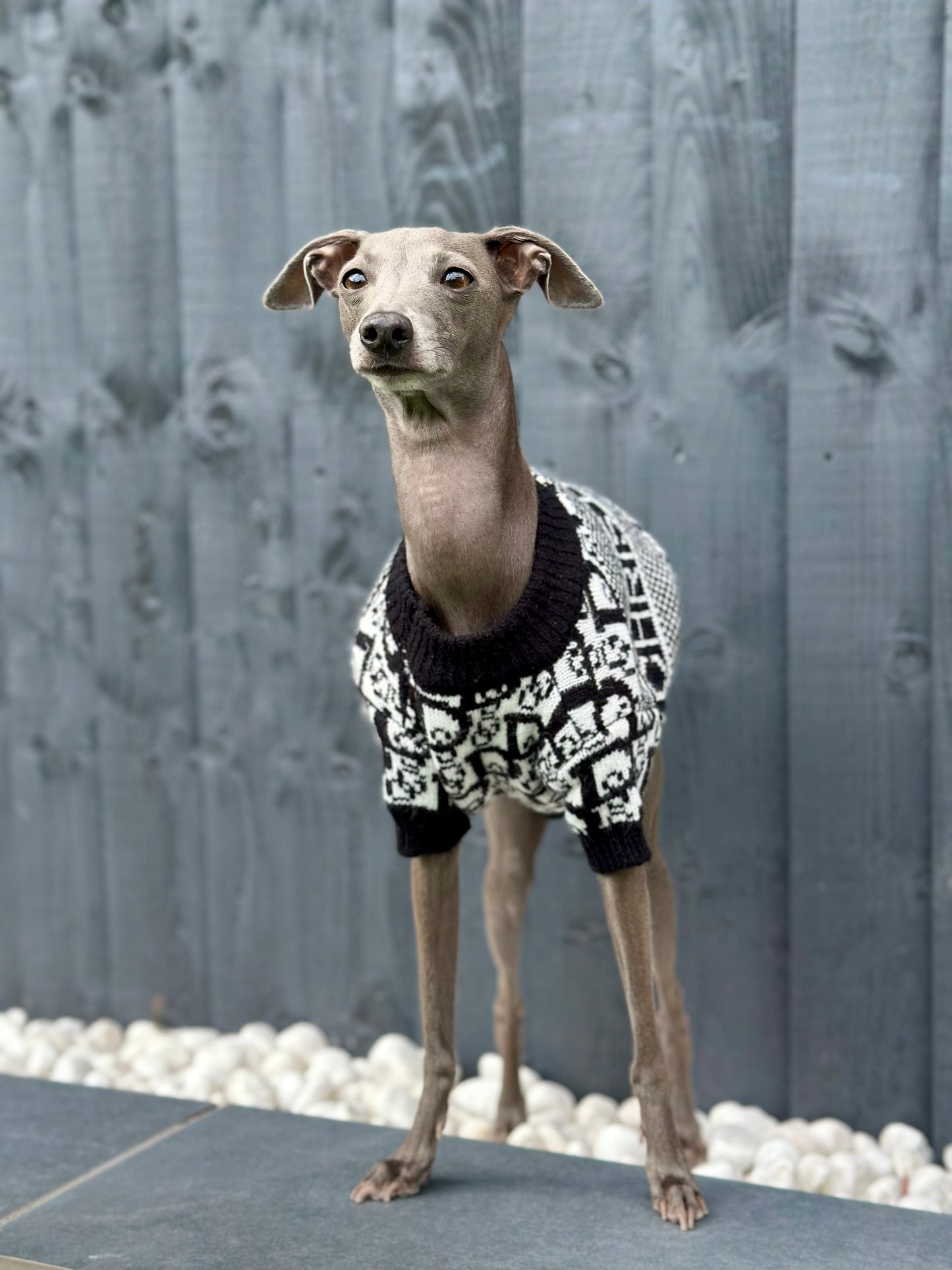 Glam Pooch Jumper