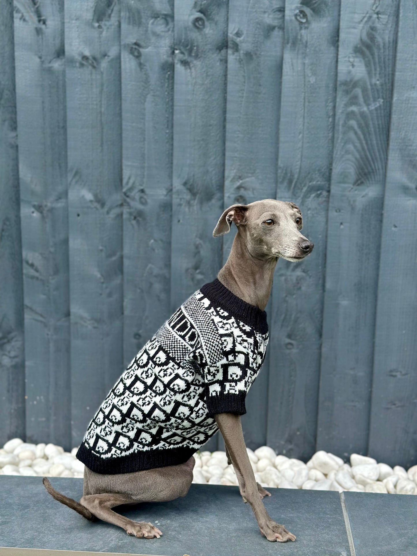 Glam Pooch Jumper