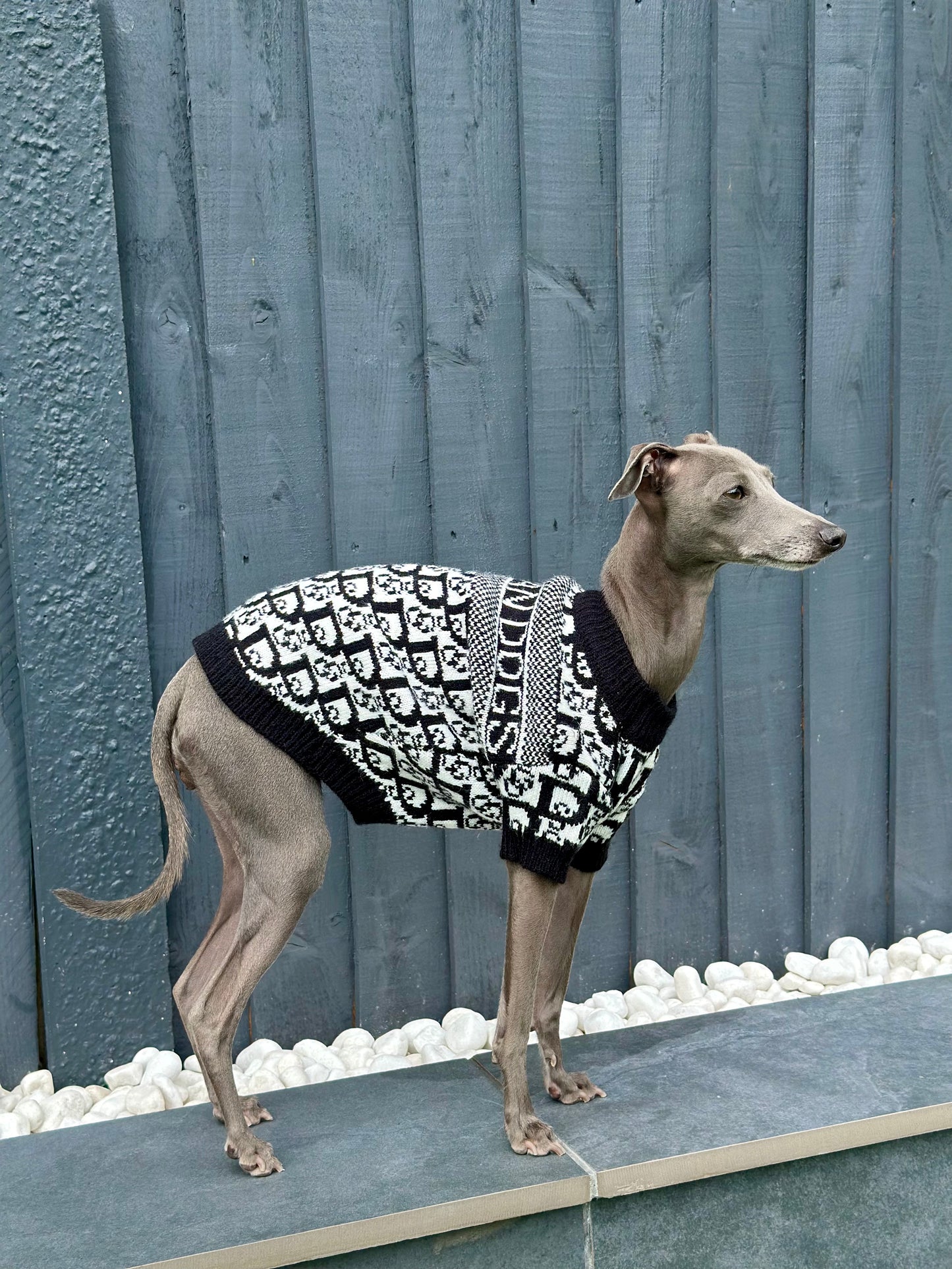 Glam Pooch Jumper