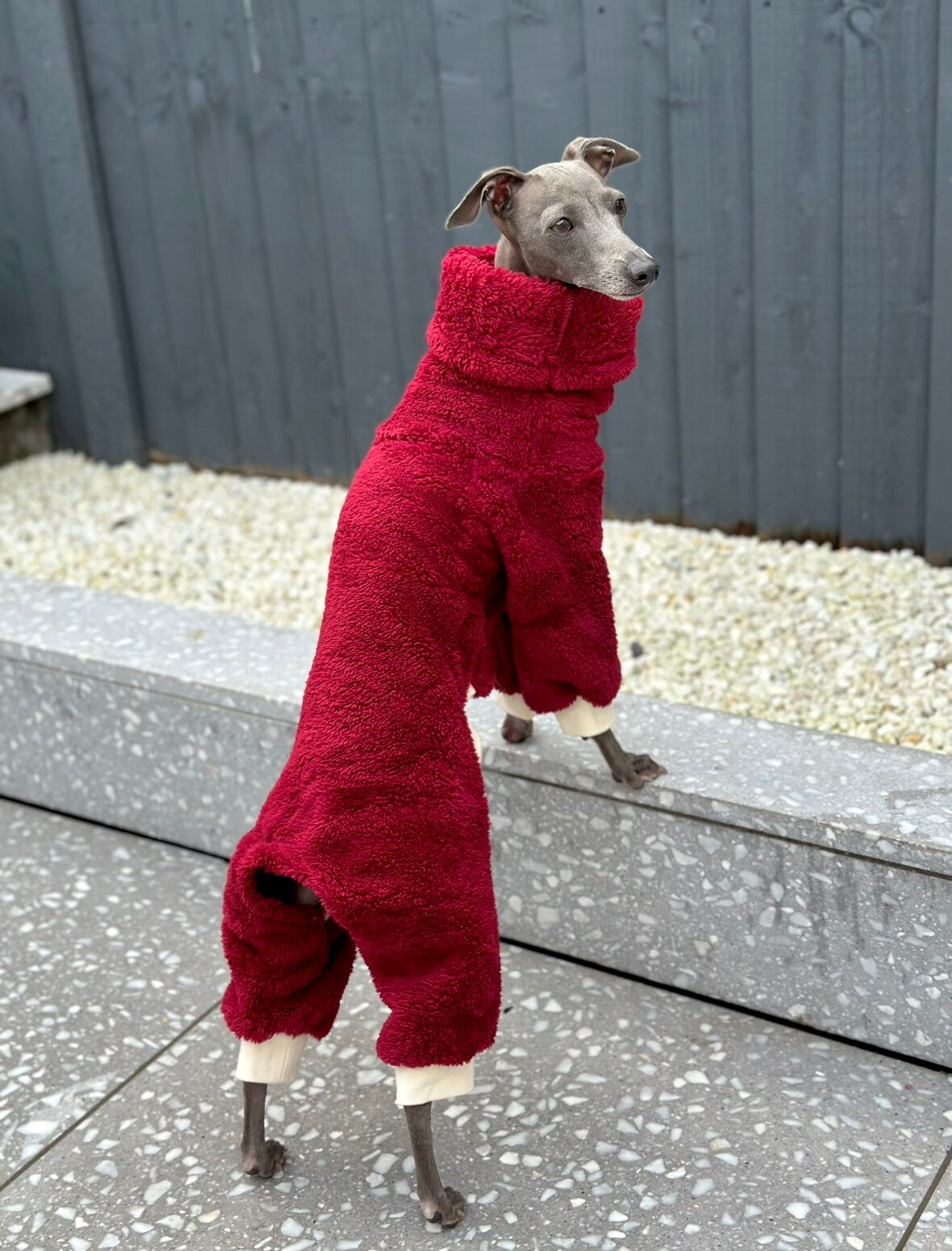 Burgundy Turtleneck Fleece | Italian Greyhound Jumpsuit