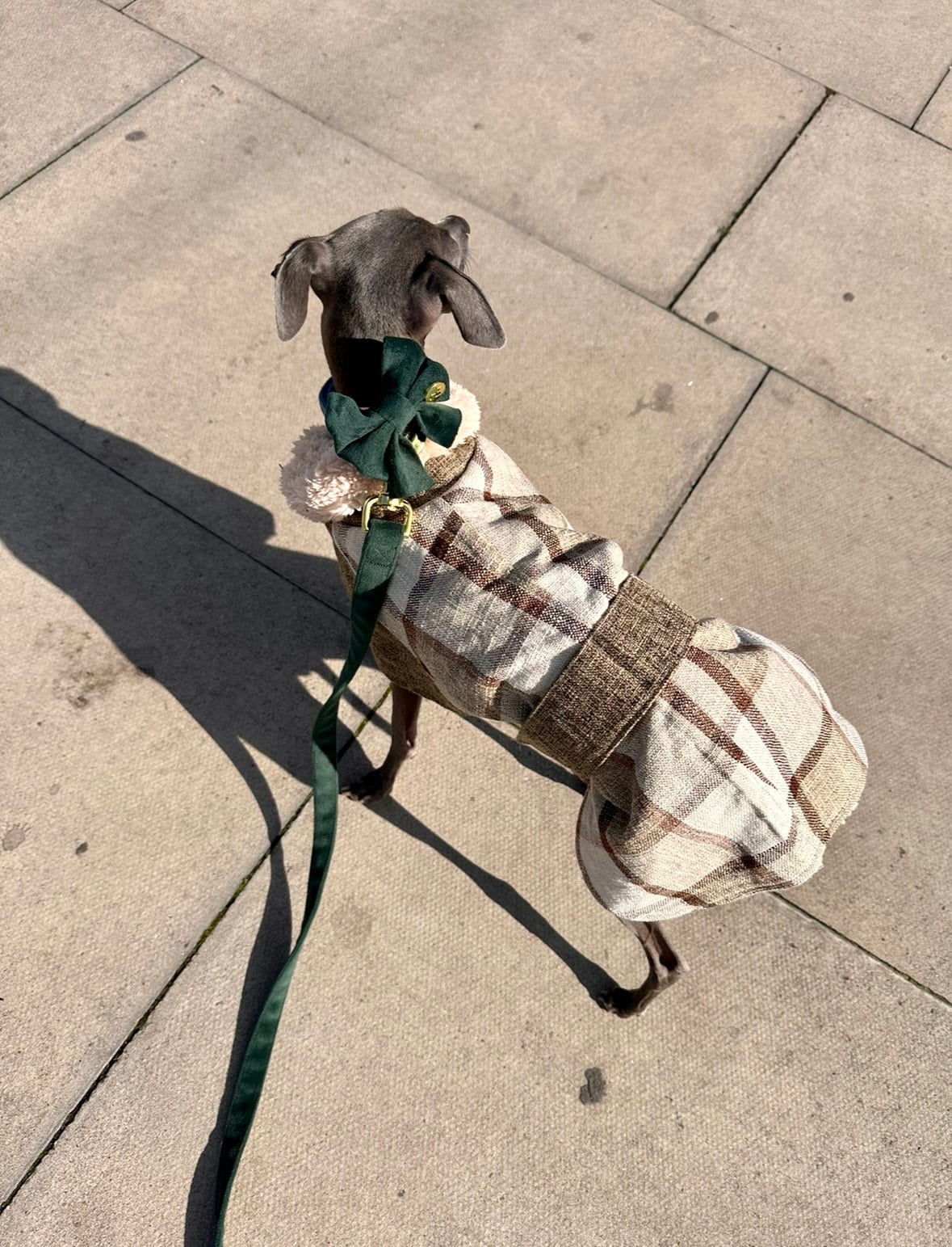 Khaki Tweed Fleece Coat - Italian Greyhound Jacket