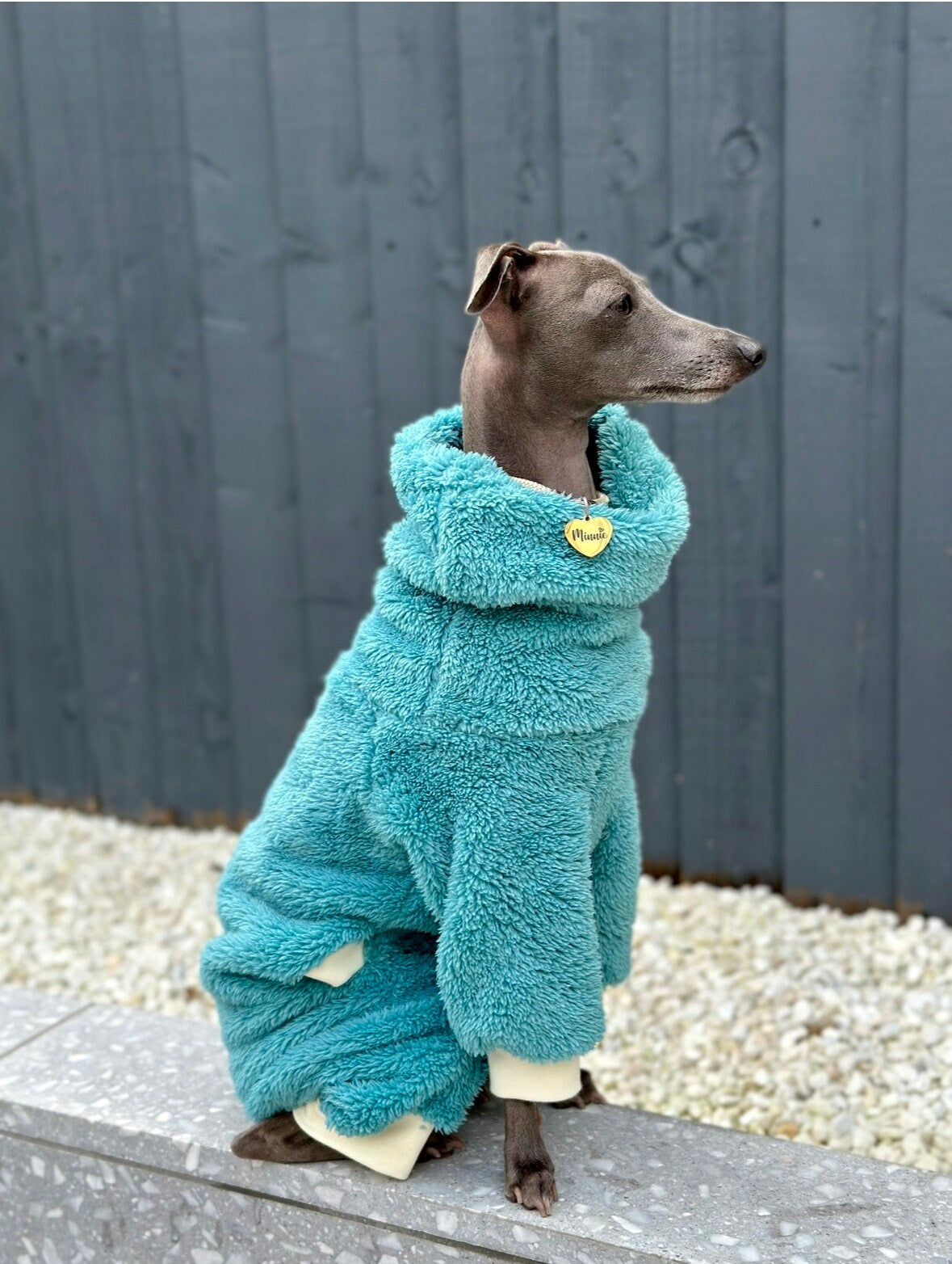 Turquoise Turtleneck Fleece | Italian Greyhound Jumpsuit