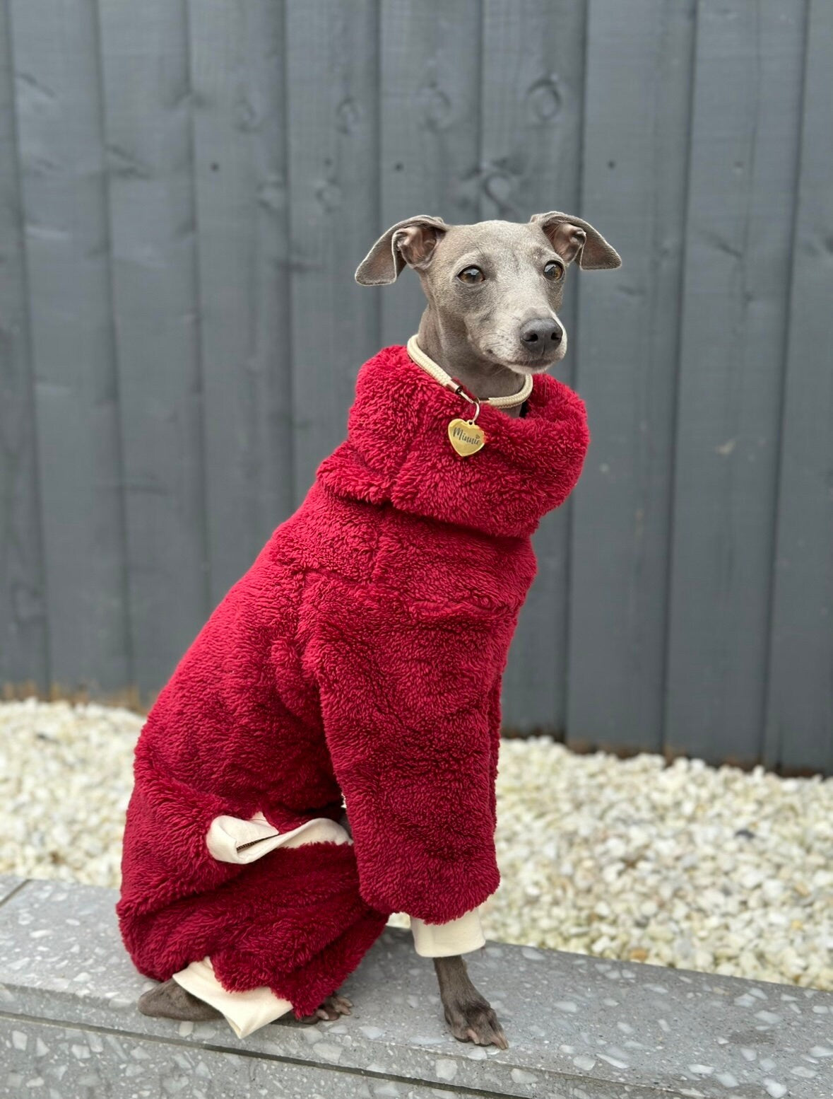 Burgundy Turtleneck Fleece | Italian Greyhound Jumpsuit