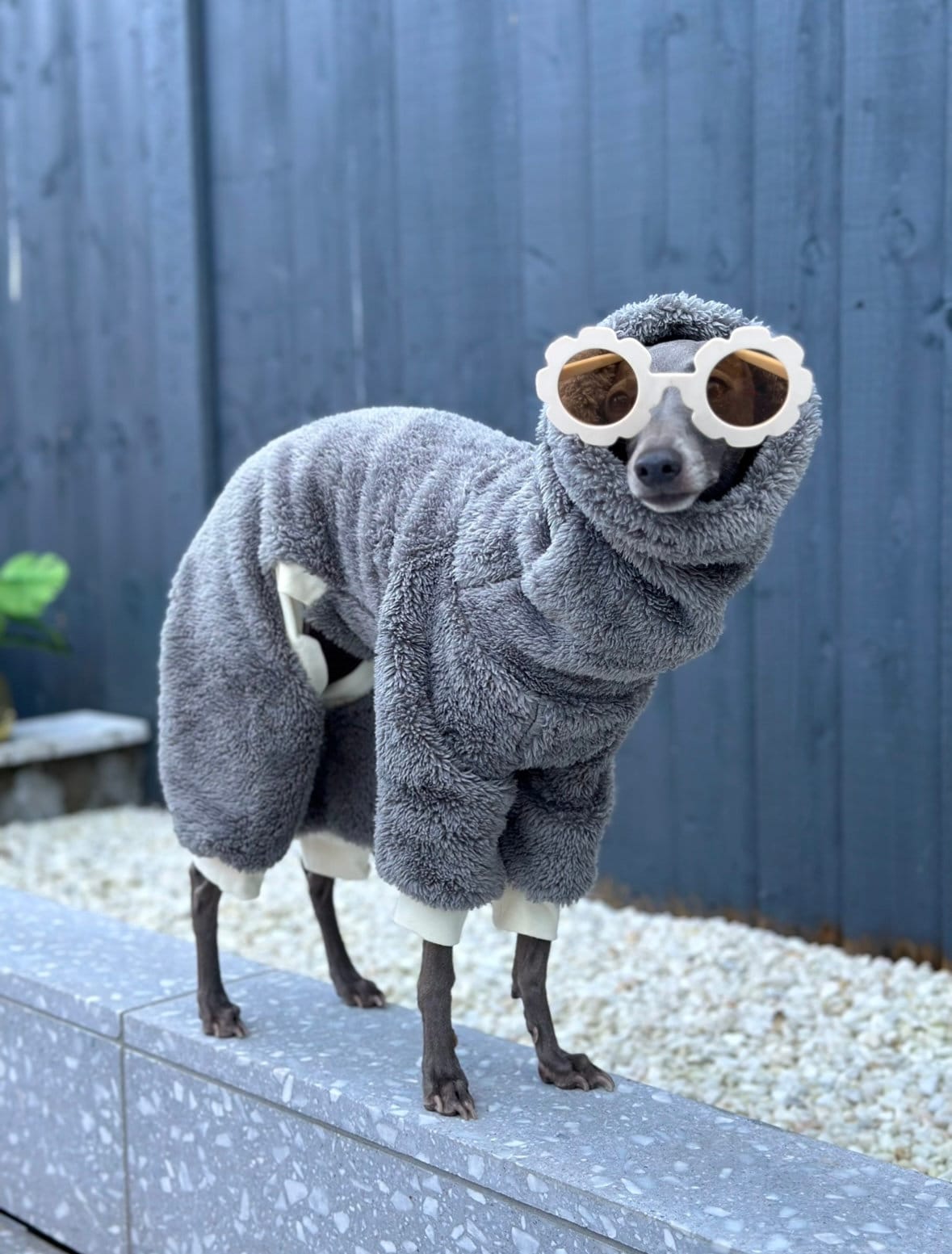 Grey Turtleneck Fleece Italian Greyhound Jumpsuit