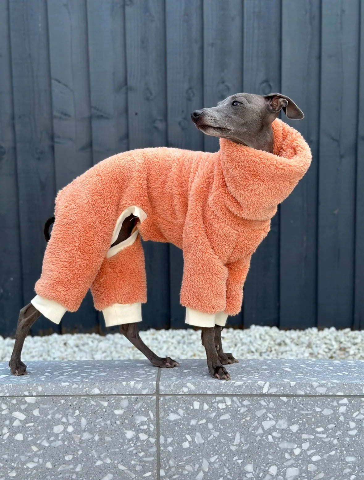 Coral Turtleneck Fleece | Italian Greyhound Jumpsuit