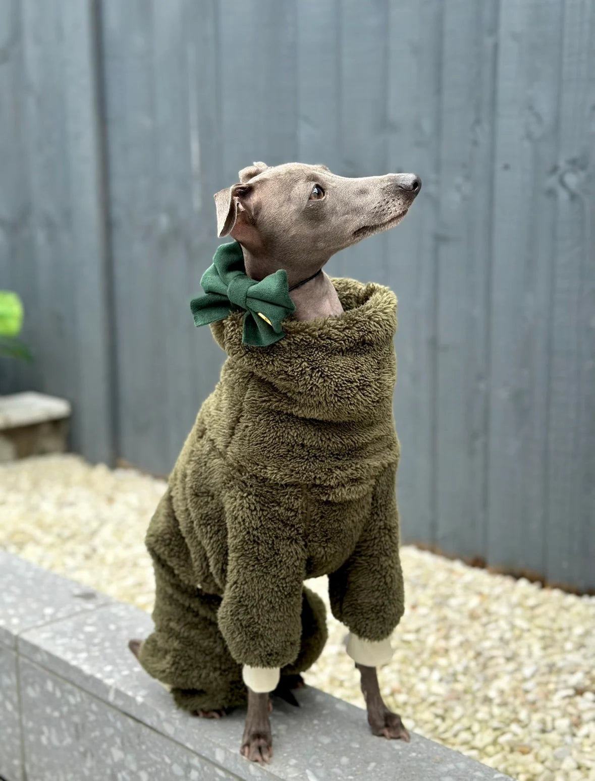 Khaki Turtleneck Fleece | Italian Greyhound Clothing