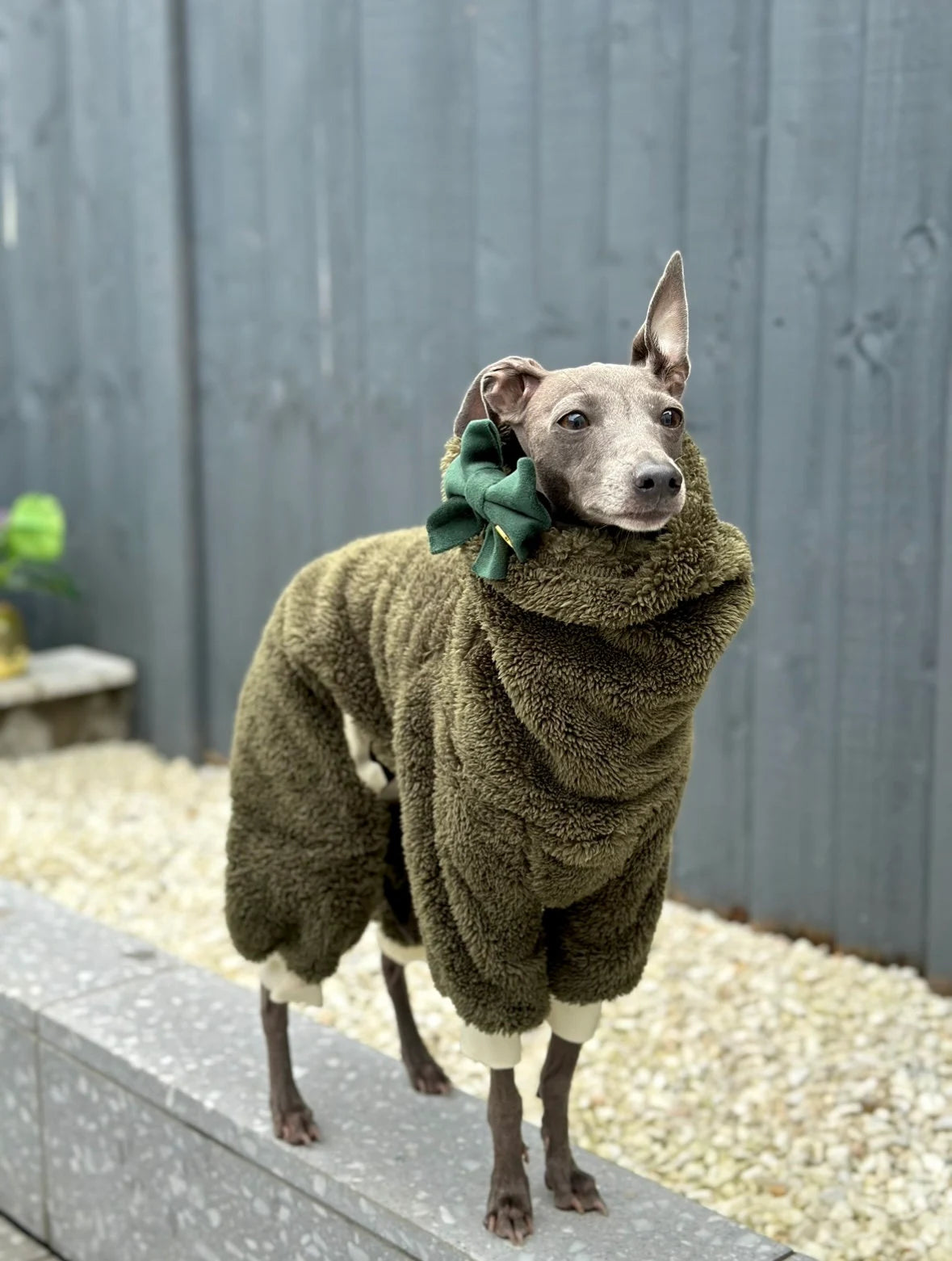 Khaki Turtleneck Fleece | Italian Greyhound Clothing