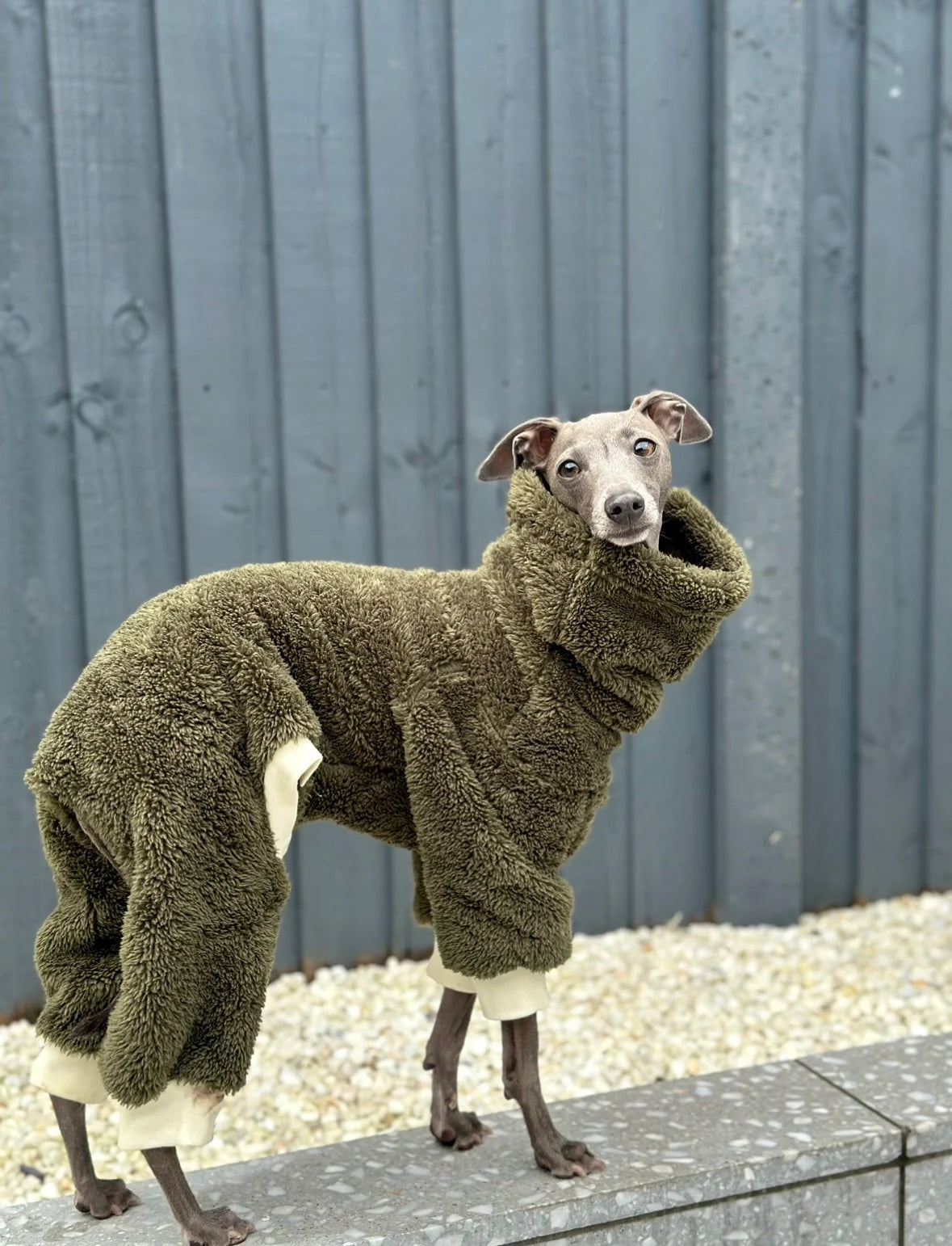 Khaki Turtleneck Fleece | Italian Greyhound Clothing