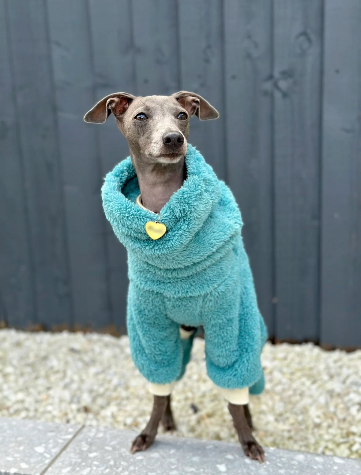 Turquoise Turtleneck Fleece | Italian Greyhound Jumpsuit