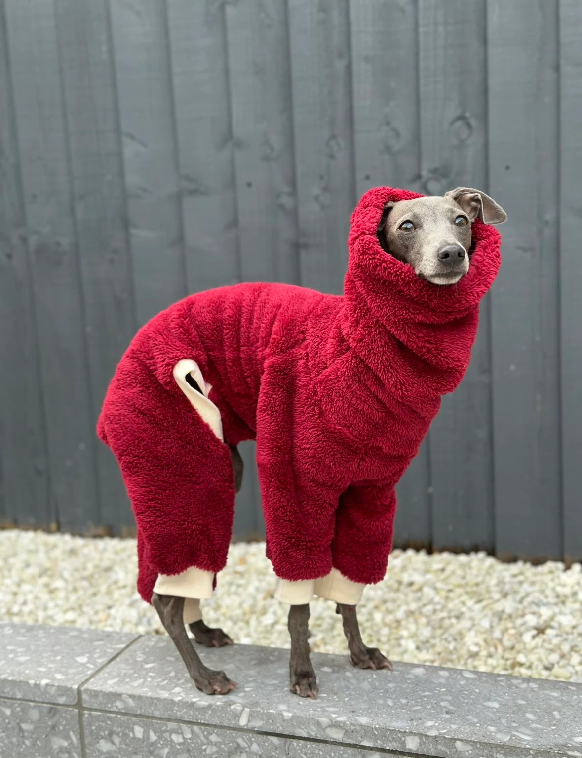 Burgundy Turtleneck Fleece Italian Greyhound Jumpsuit