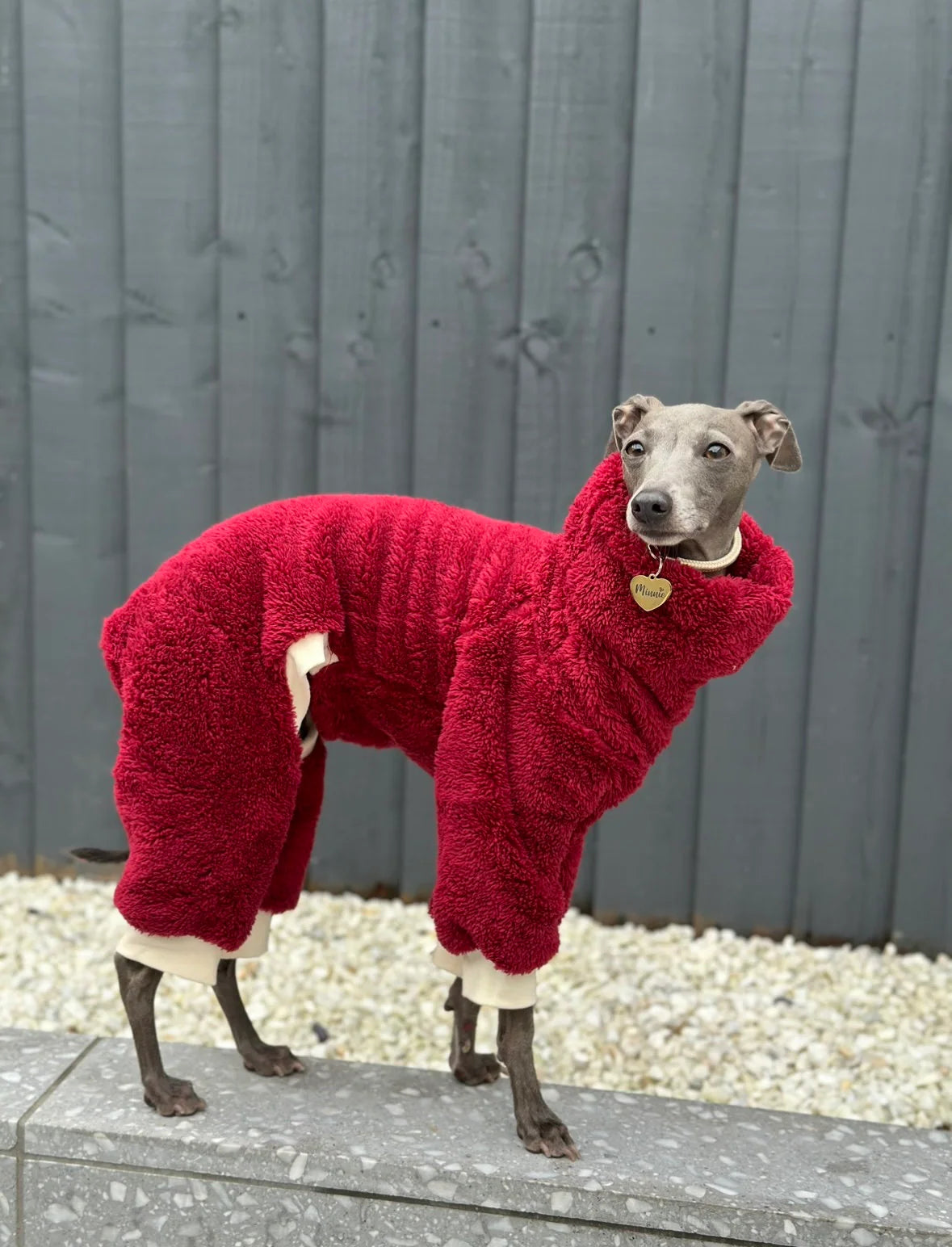 Burgundy Turtleneck Fleece | Italian Greyhound Jumpsuit