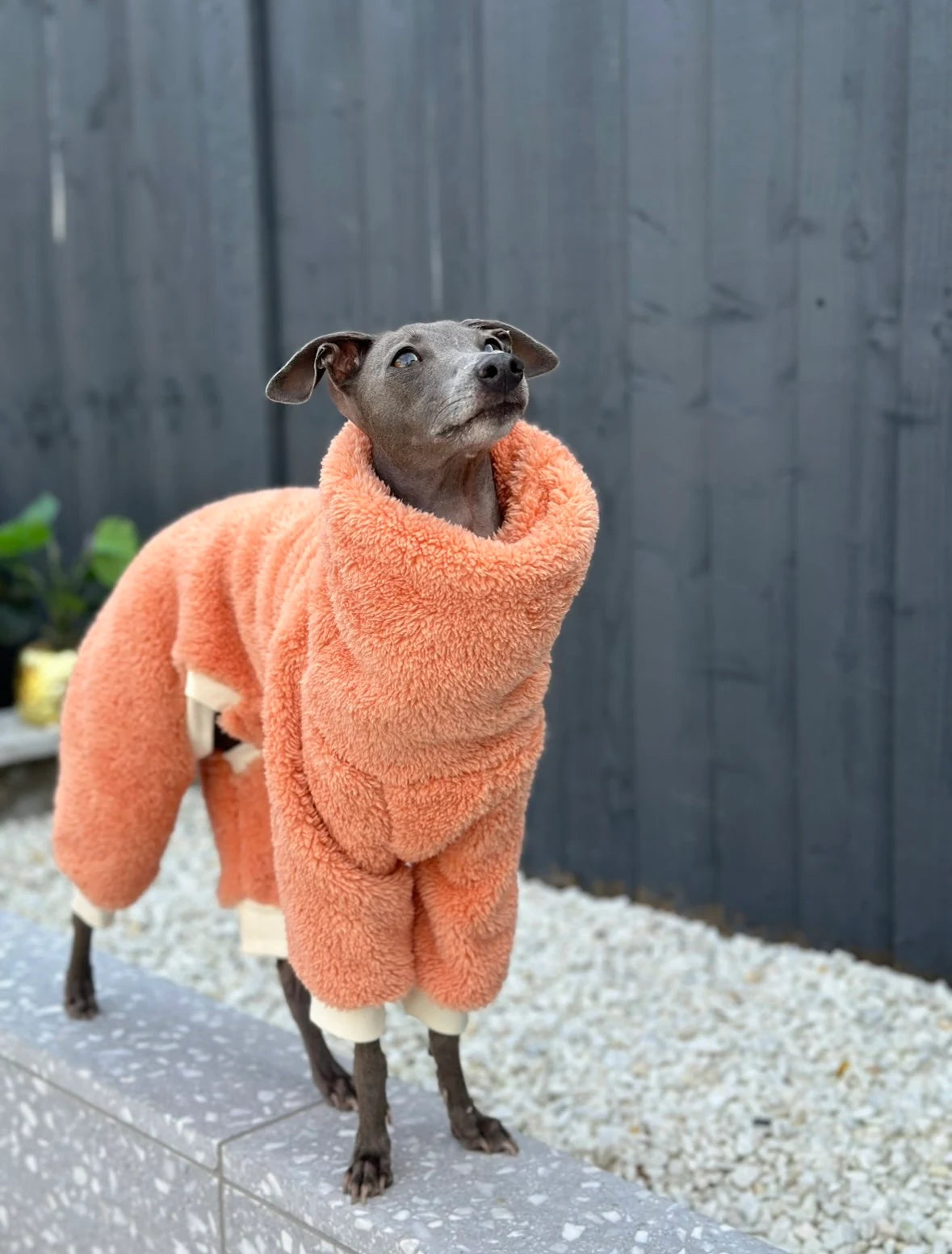 Coral Turtleneck Fleece | Italian Greyhound Jumpsuit