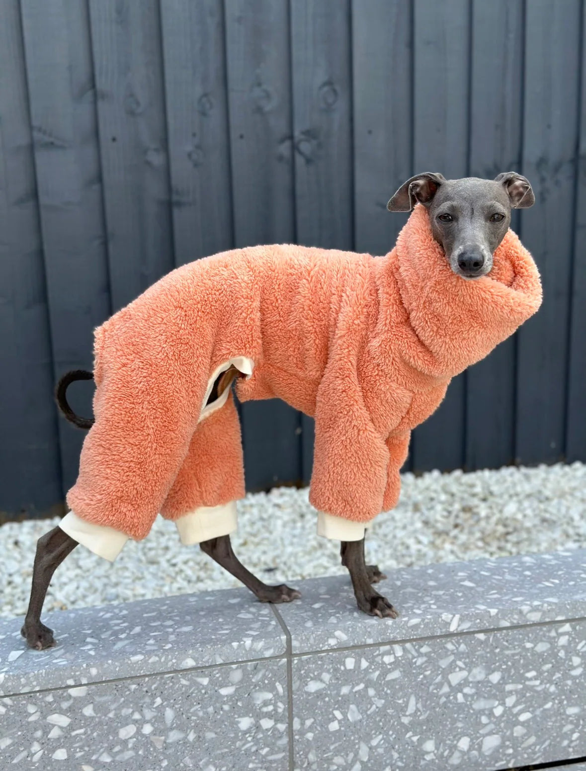 Coral Turtleneck Fleece | Italian Greyhound Jumpsuit