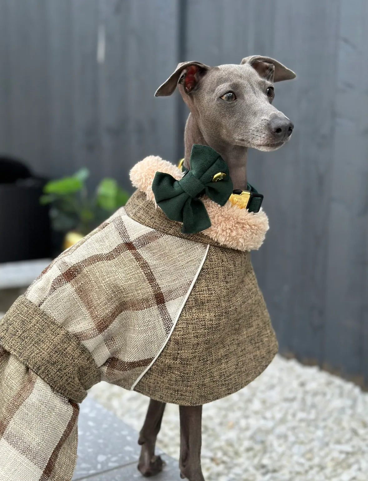 Khaki Tweed Fleece Coat - Italian Greyhound Jacket