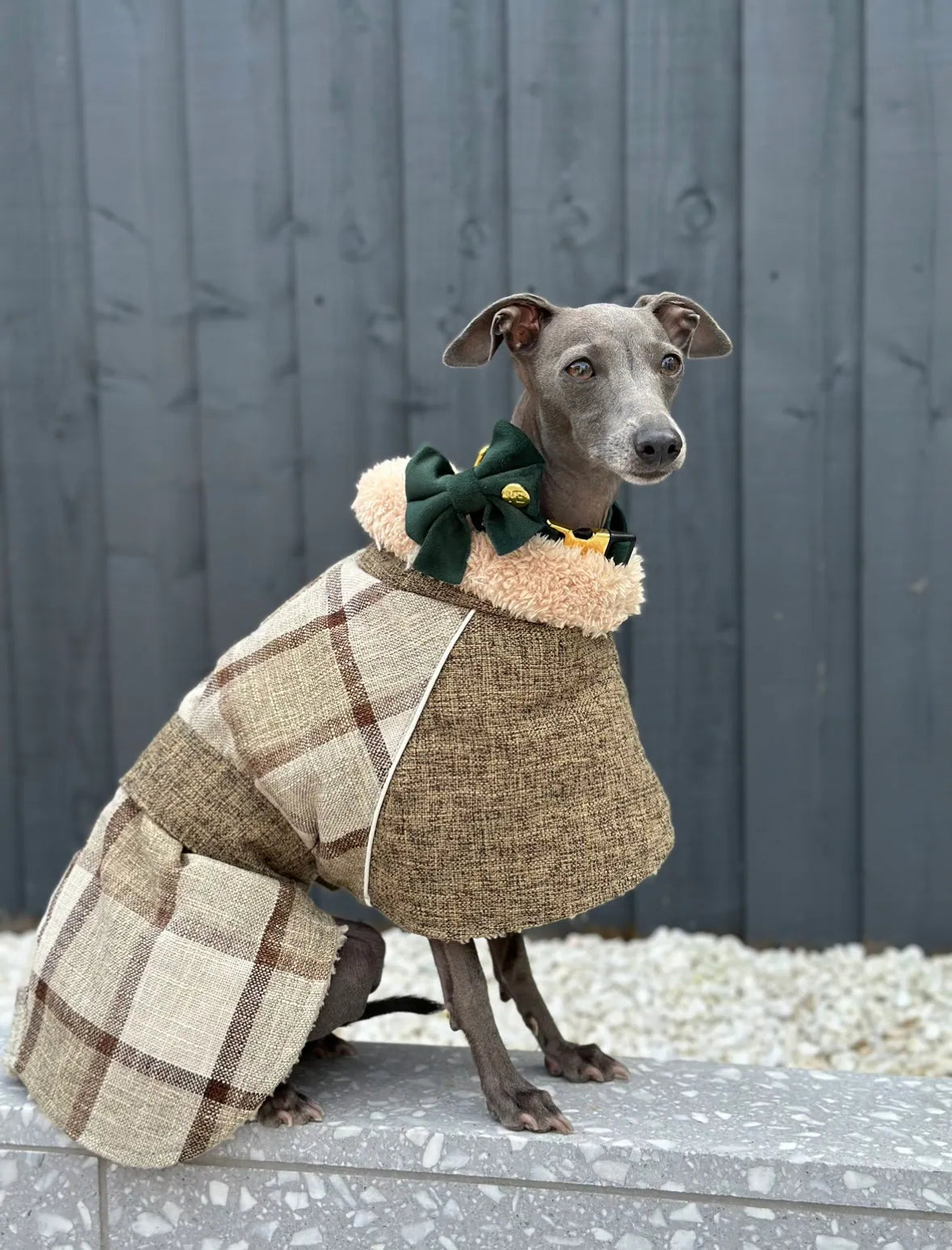 Khaki Tweed Fleece Coat - Italian Greyhound Jacket