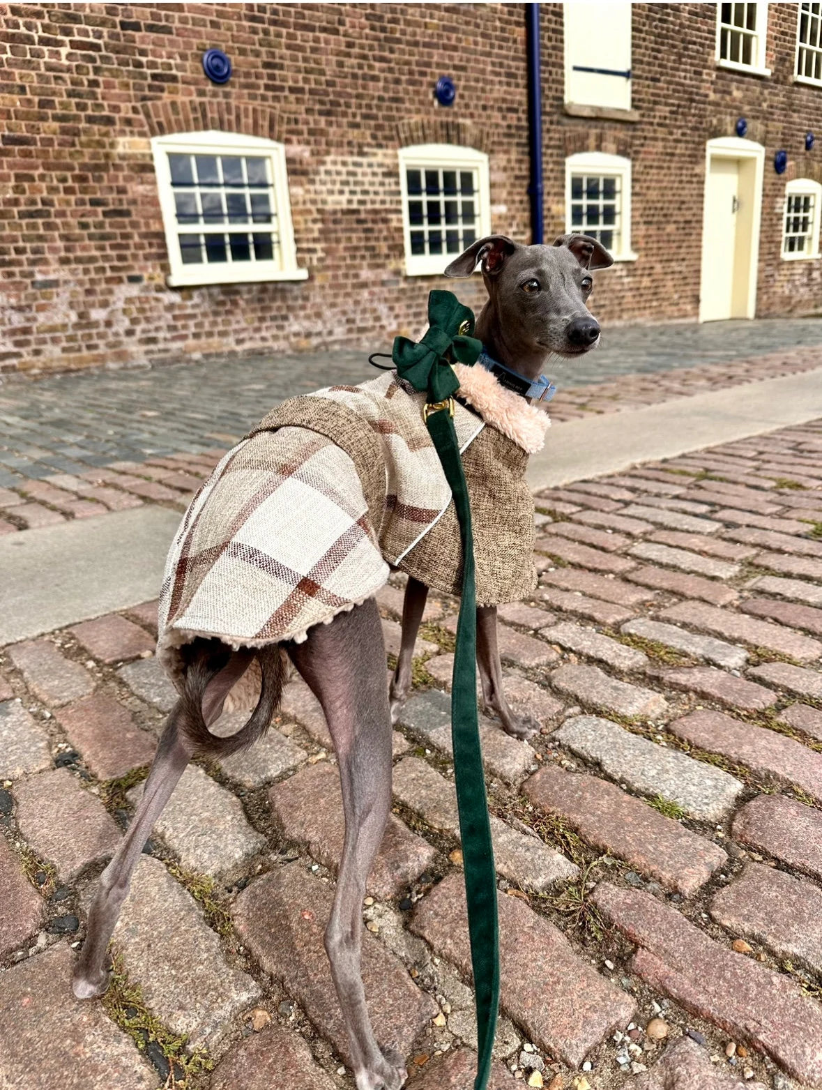 Khaki Tweed Fleece Coat - Italian Greyhound Jacket