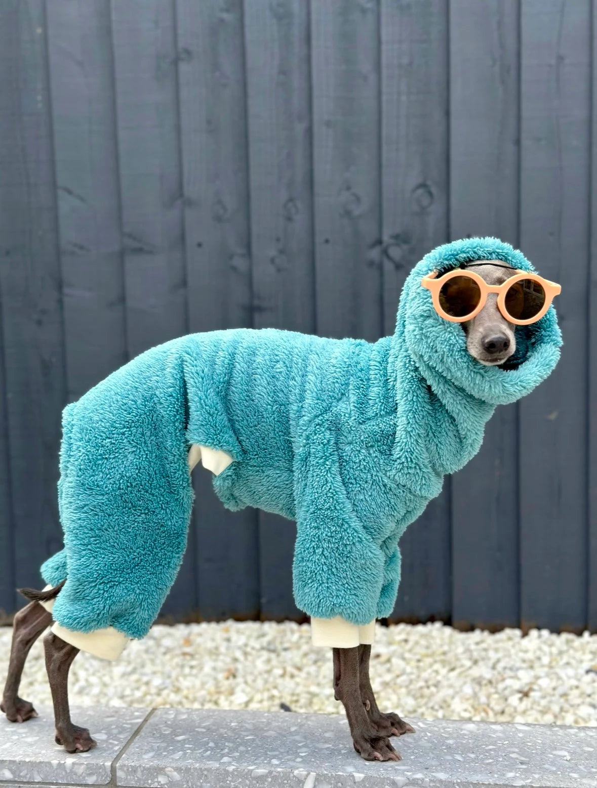 Turquoise Turtleneck Fleece | Italian Greyhound Jumpsuit