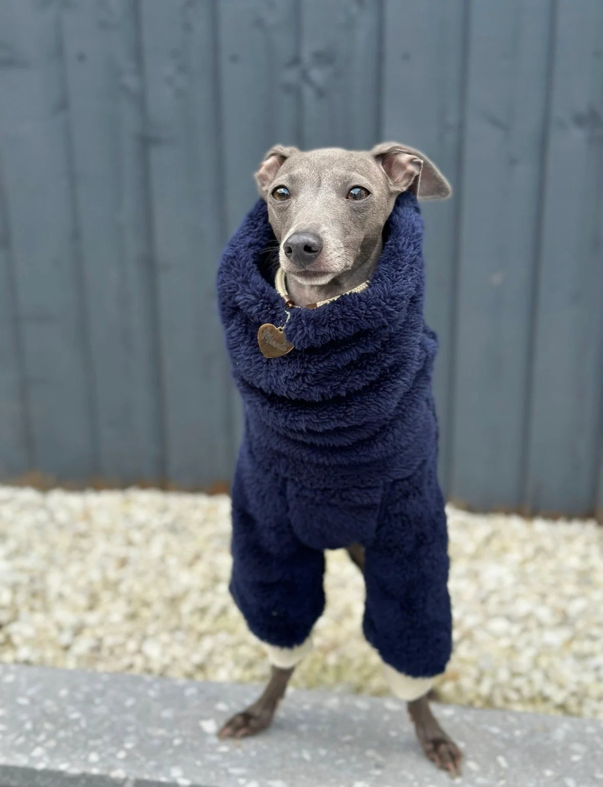 Royal Blue Turtleneck Fleece | Italian Greyhound Jumpsuit