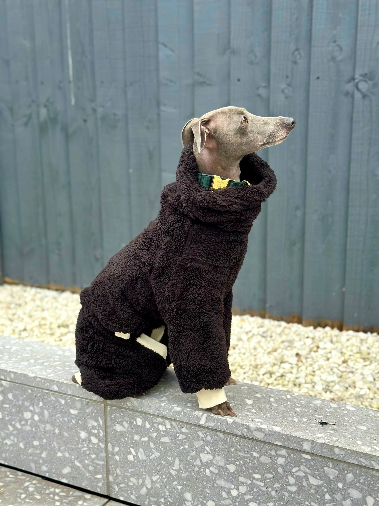 Black Turtleneck Fleece | Italian Greyhound Jumpsuit