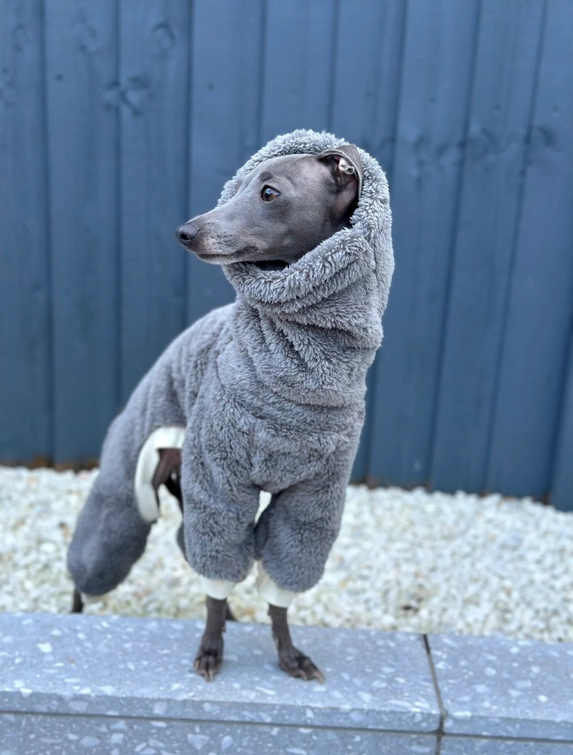 Grey Turtleneck Fleece | Italian Greyhound Jumpsuit