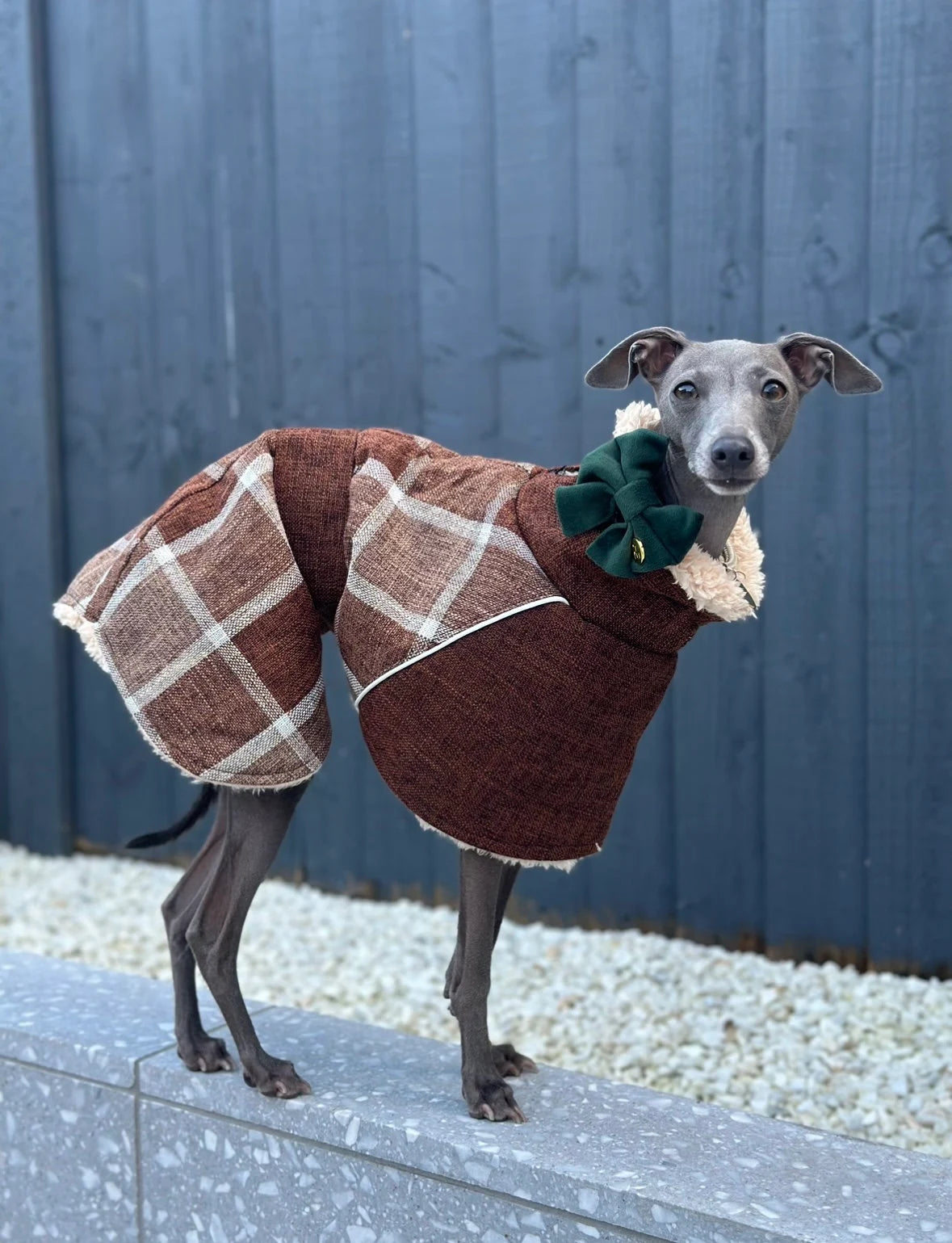 Brown Tweed Fleece Coat - Italian Greyhound Jacket