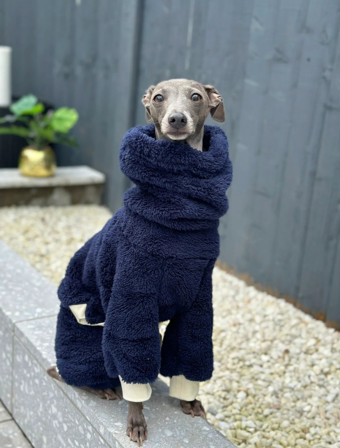 Royal Blue Turtleneck Fleece | Italian Greyhound Jumpsuit