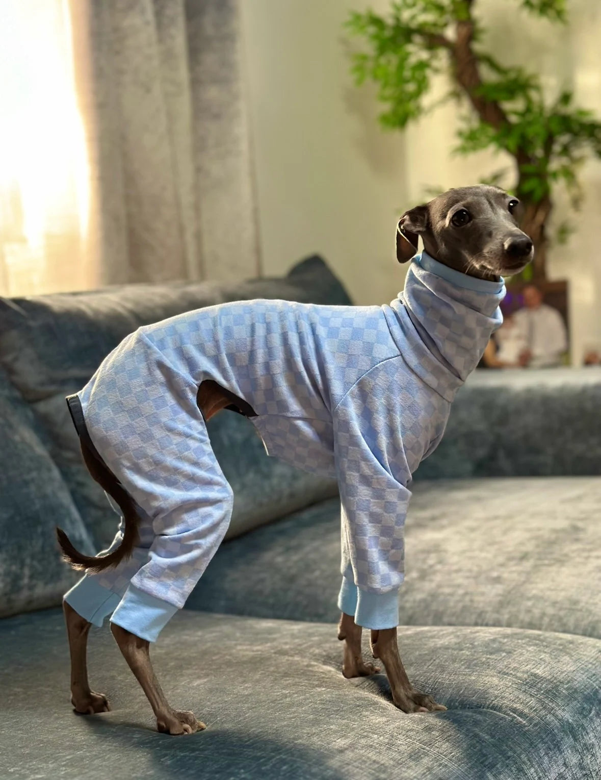 Posh Pajamas Blue | Italian Greyhound Clothing