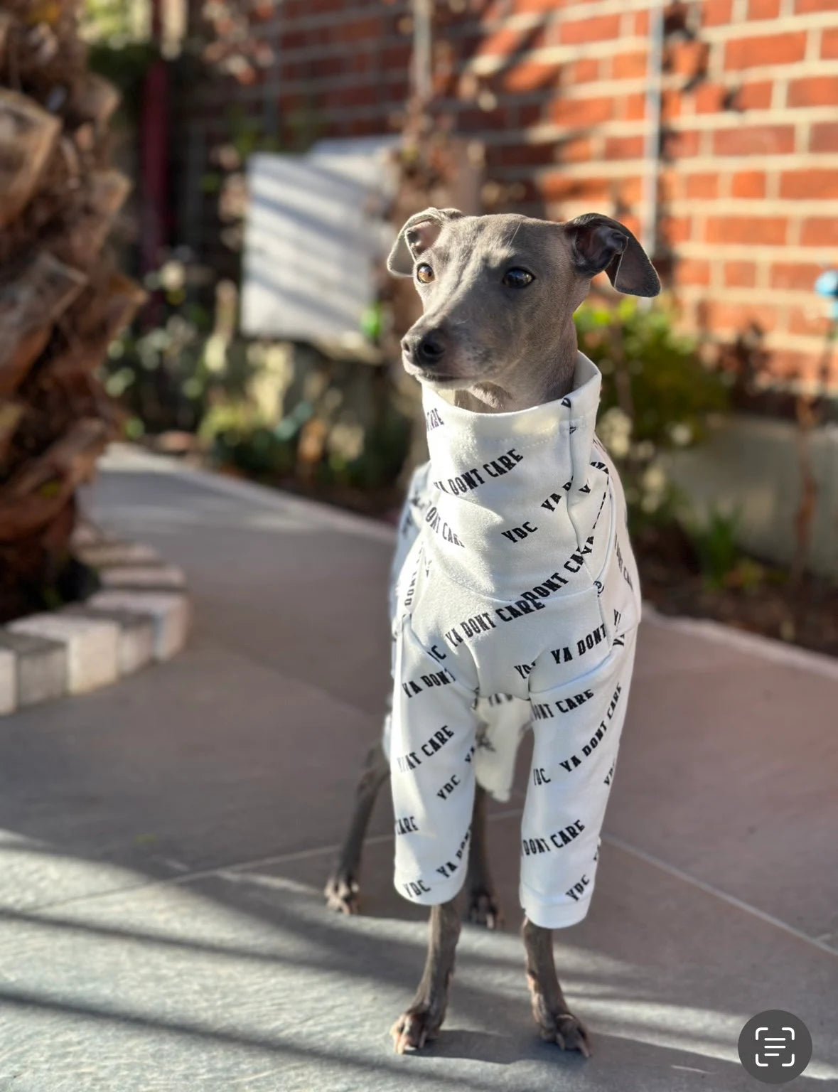 Posh Pajamas White | Italian Greyhound Clothing