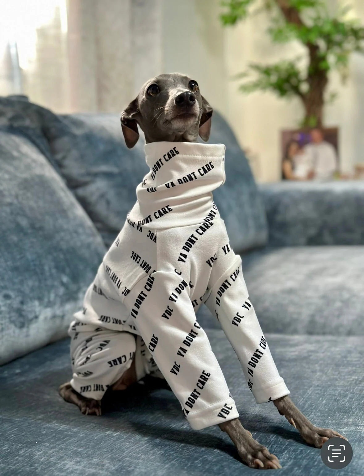 Posh Pajamas White | Italian Greyhound Clothing