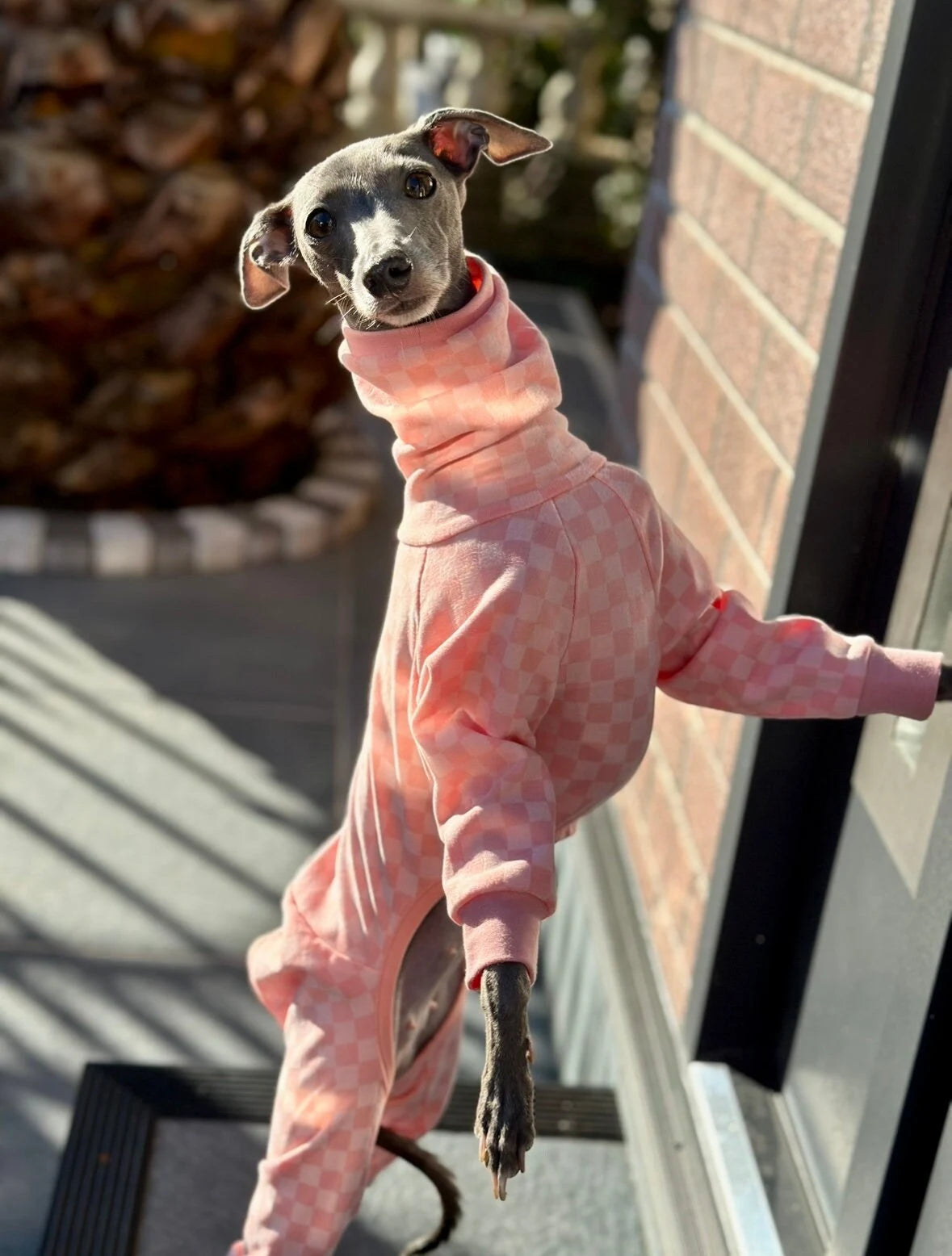 Posh Pajamas Peach | Italian Greyhound Clothing